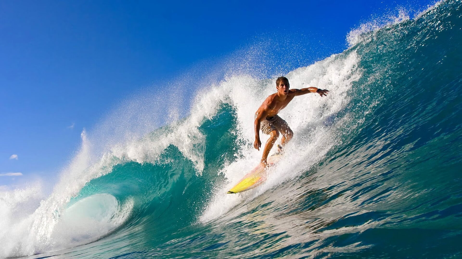 “野外追逐”——荒漠、山地、雪原的极限角逐，野外雪景图片
