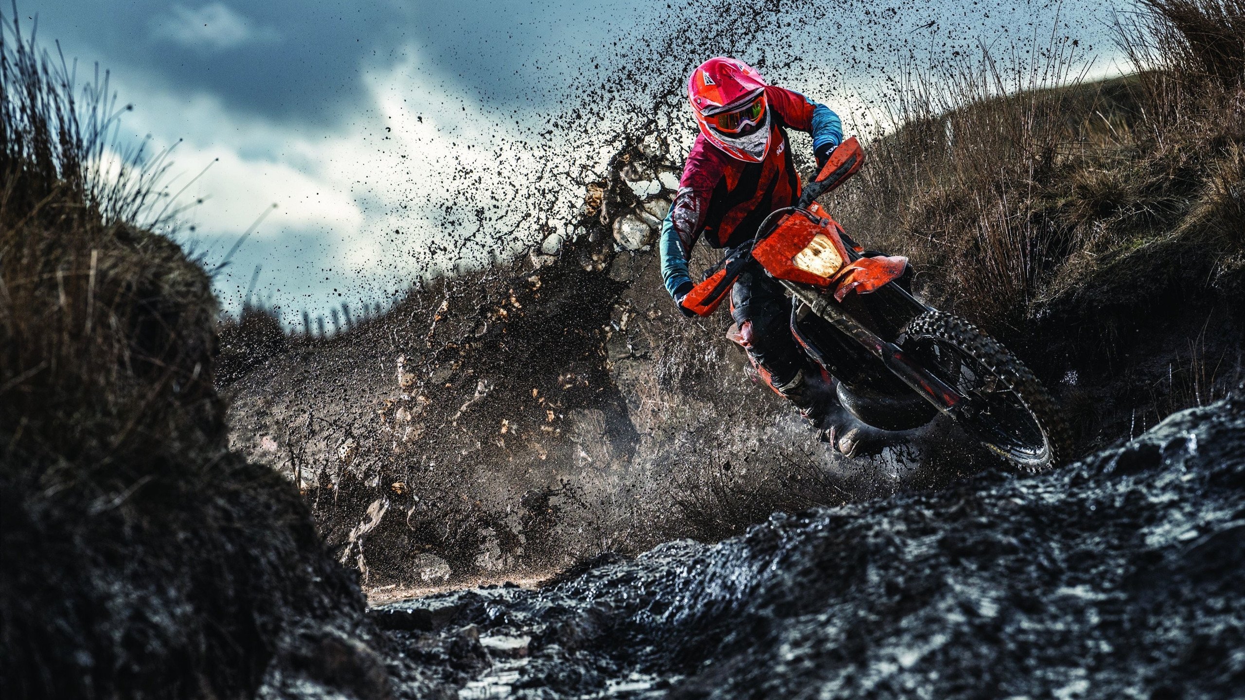 未来之星计划，青少年篮球培养新模式，未来星篮球培训